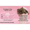 Appointment Cards<SmileMakers Custom Rachael Hale Pink Cat Appointment Cards - Appointment Cards from