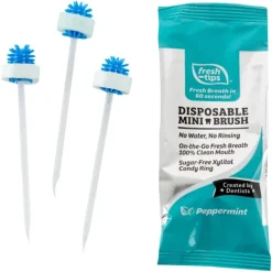 Dental Themed Prizes<SmileMakers Fresh Tips Disposable Mini Brush