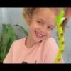 Figurines | Latex Free Toys<SmileMakers Jointed Snakes - Assorted Toys from