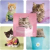 Character Stickers<SmileMakers Rachael Hale Cats Stickers - Character Stickers from