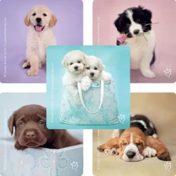 Seasons | Character Stickers<SmileMakers Rachael Hale Dogs Stickers - Stickers from