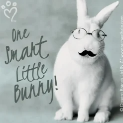 Character Stickers<SmileMakers Rachael Hale Glasses & Moustaches Stickers - Character Stickers from