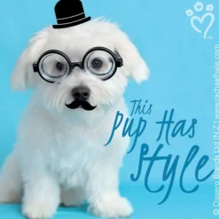 Character Stickers<SmileMakers Rachael Hale Glasses & Moustaches Stickers - Character Stickers from