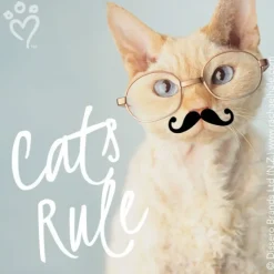 Character Stickers<SmileMakers Rachael Hale Glasses & Moustaches Stickers - Character Stickers from