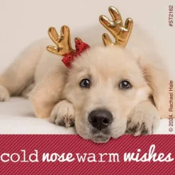 Christmas | Character Stickers<SmileMakers Rachael Hale Holiday Stickers - Stickers from