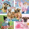 Character Stickers<SmileMakers Rachael Hale Let's Pawty Stickers - Stickers from