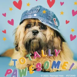 Character Stickers<SmileMakers Rachael Hale Let's Pawty Stickers - Stickers from