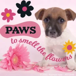 Character Stickers<SmileMakers Rachael Hale Let's Pawty Stickers - Stickers from