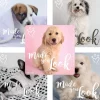 Patient Stickers | Character Stickers<SmileMakers Rachael Hale Made You Look Stickers - Stickers from