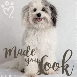 Patient Stickers | Character Stickers<SmileMakers Rachael Hale Made You Look Stickers - Stickers from