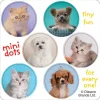 Character Stickers<SmileMakers Rachael Hale Mini Dot Stickers - Stickers from