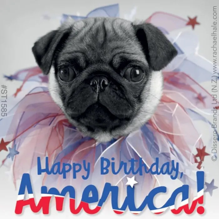 Fourth Of July | Character Stickers<SmileMakers Rachael Hale Patriotic Stickers -Stickers from