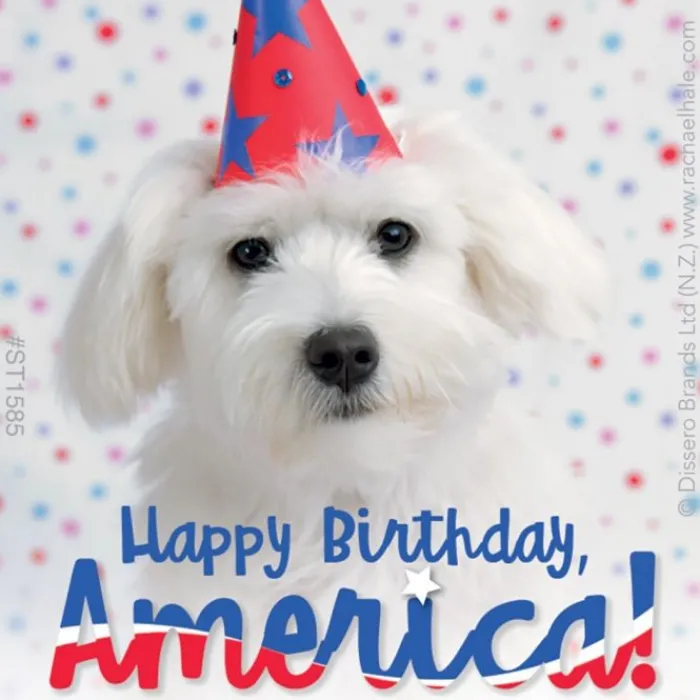 Fourth Of July | Character Stickers<SmileMakers Rachael Hale Patriotic Stickers -Stickers from