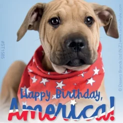 Fourth Of July | Character Stickers<SmileMakers Rachael Hale Patriotic Stickers -Stickers from