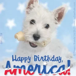 Fourth Of July | Character Stickers<SmileMakers Rachael Hale Patriotic Stickers -Stickers from