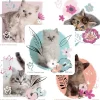 Character Stickers<SmileMakers Rachael Hale Pretty Kitty Stickers - Stickers - from