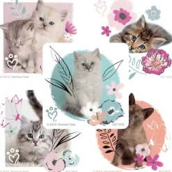 Character Stickers<SmileMakers Rachael Hale Pretty Kitty Stickers - Stickers - from