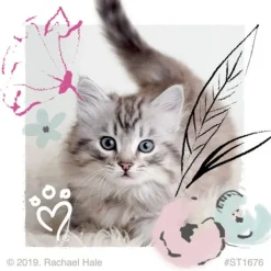 Character Stickers<SmileMakers Rachael Hale Pretty Kitty Stickers - Stickers - from