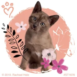 Character Stickers<SmileMakers Rachael Hale Pretty Kitty Stickers - Stickers - from