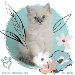 Character Stickers<SmileMakers Rachael Hale Pretty Kitty Stickers - Stickers - from