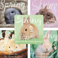 Seasons | Character Stickers<SmileMakers Rachael Hale Spring Fuzzies Stickers - Stickers from