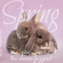 Seasons | Character Stickers<SmileMakers Rachael Hale Spring Fuzzies Stickers - Stickers from