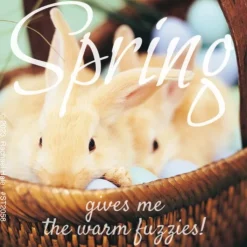 Seasons | Character Stickers<SmileMakers Rachael Hale Spring Fuzzies Stickers - Stickers from