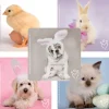 Easter | Character Stickers<SmileMakers Rachael Hale Spring Stickers - Rachael Hale from