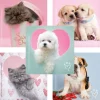 Valentine's Day | Character Stickers<SmileMakers Rachael Hale® Valentine Stickers - Stickers from