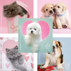 Valentine's Day | Character Stickers<SmileMakers Rachael Hale® Valentine Stickers - Stickers from