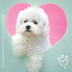 Valentine's Day | Character Stickers<SmileMakers Rachael Hale® Valentine Stickers - Stickers from