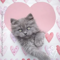 Valentine's Day | Character Stickers<SmileMakers Rachael Hale® Valentine Stickers - Stickers from
