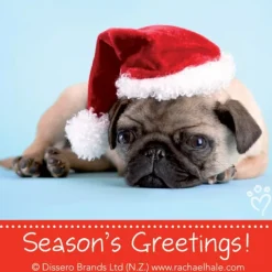 Christmas | Character Stickers<SmileMakers Rachel Hale Dogs Christmas Stickers - Holiday Stickers -
