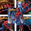 Character Stickers | Superhero Stickers<SmileMakers Spidey Stickers -
