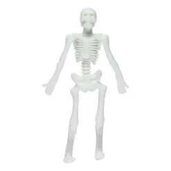 Halloween | Individually Wrapped Toys<SmileMakers Stretchy Skeletons - Stretchy Toys from