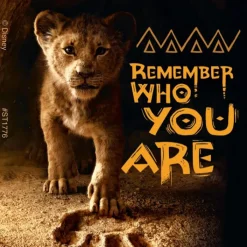Disney Stickers | Character Stickers<SmileMakers The Lion King Movie Stickers - Stickers from
